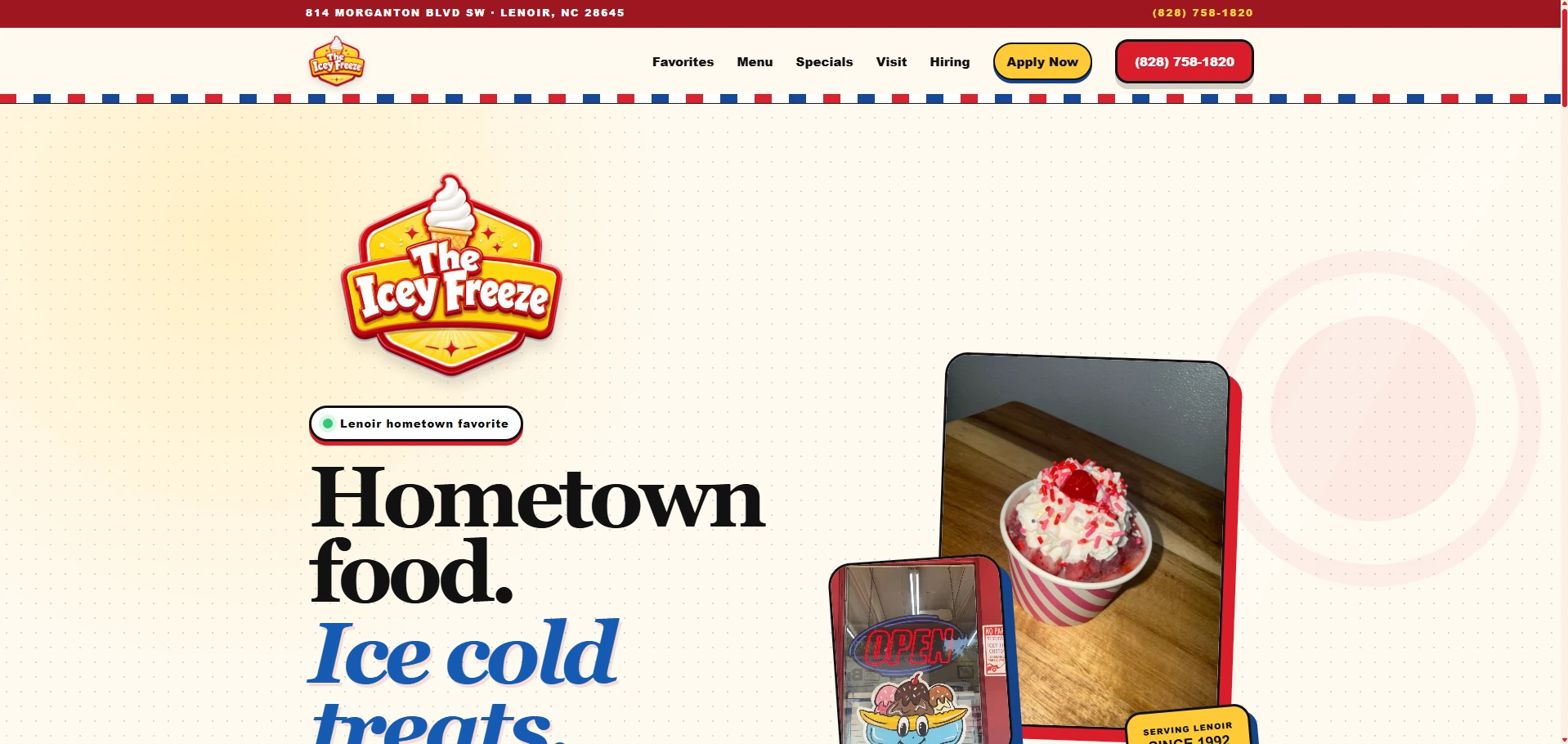 The Icey Freeze website